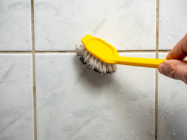 Best Mold Testing and Inspection Services in Pleasant Run, OH