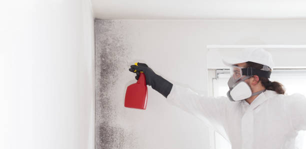 Best Industrial Mold Remediation in Pleasant Run, OH